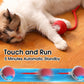 Nurbini® smart chase pet toy ball