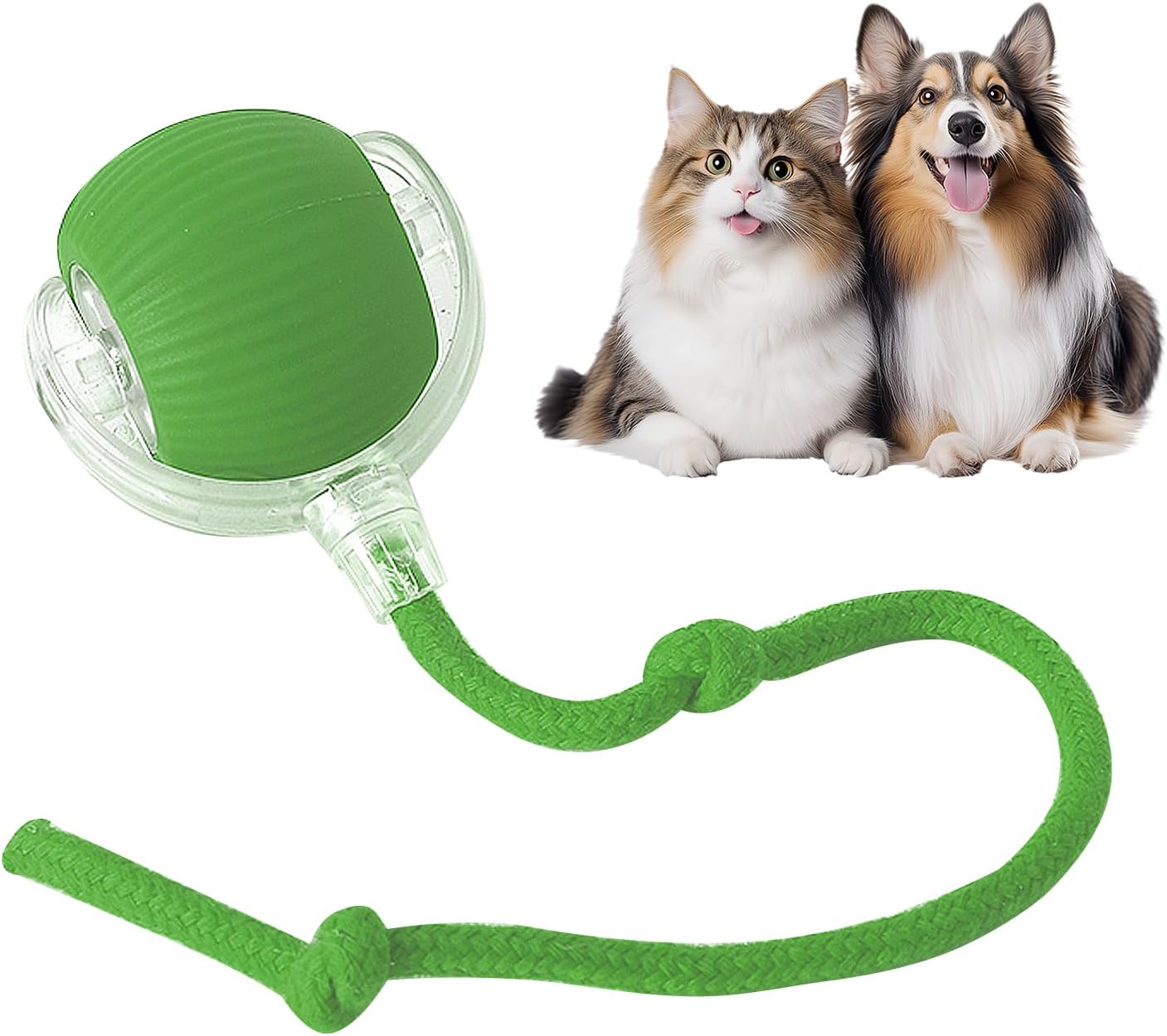 Nurbini® smart chase pet toy ball