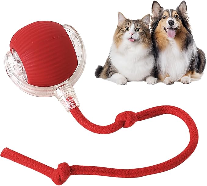 Nurbini® smart chase pet toy ball